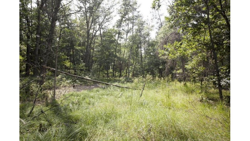 10 AC Deerborn Drive Quincy, WI 53934 by Landman Realty Llc $119,900