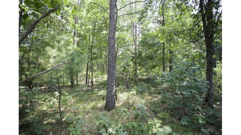 10 AC Deerborn Drive Quincy, WI 53934 by Landman Realty Llc $119,900