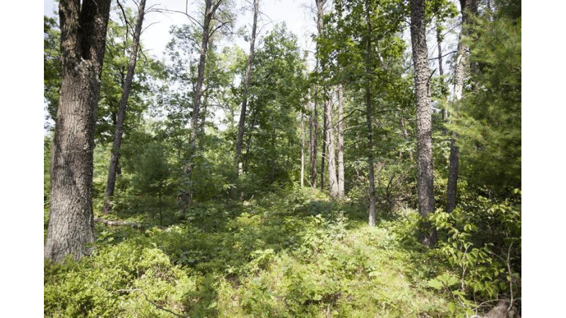 10 AC Deerborn Drive Quincy, WI 53934 by Landman Realty Llc $119,900