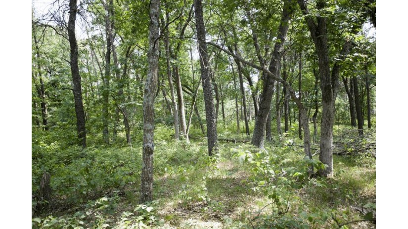 10 AC Deerborn Drive Quincy, WI 53934 by Landman Realty Llc $119,900