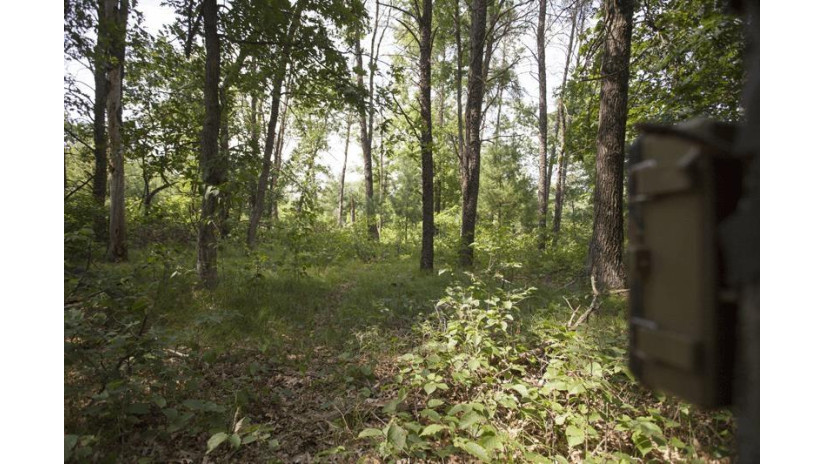 10 AC Deerborn Drive Quincy, WI 53934 by Landman Realty Llc $119,900