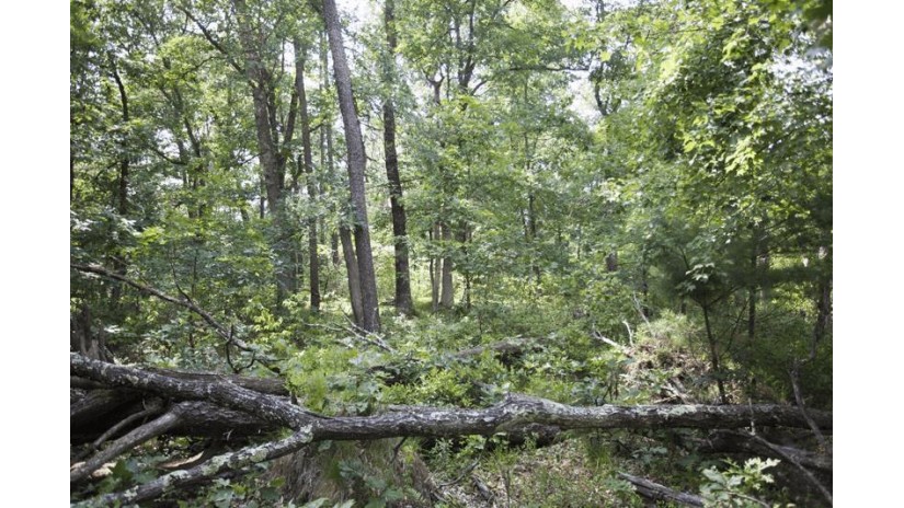 10 AC Deerborn Drive Quincy, WI 53934 by Landman Realty Llc $119,900