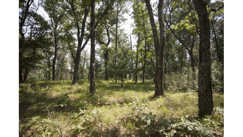 10 AC Deerborn Drive Quincy, WI 53934 by Landman Realty Llc $119,900