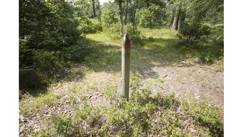 10 AC Deerborn Drive Quincy, WI 53934 by Landman Realty Llc $119,900