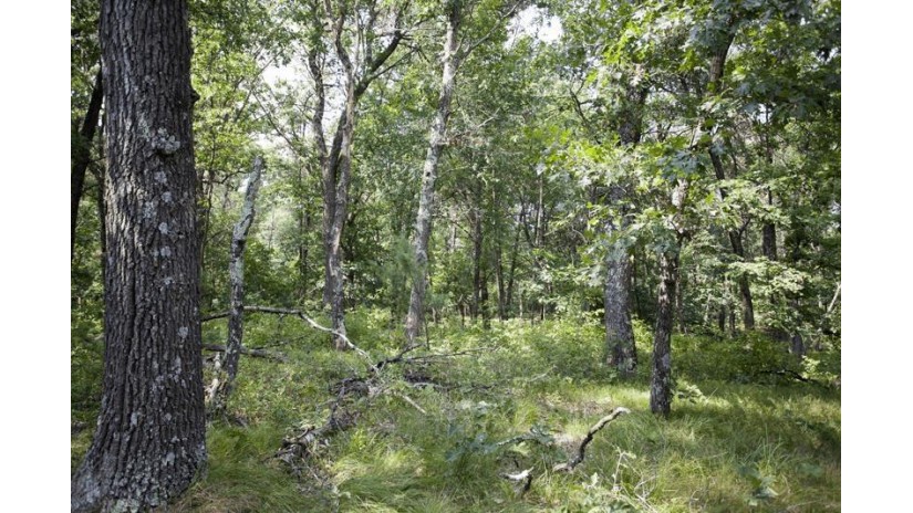 10 AC Deerborn Drive Quincy, WI 53934 by Landman Realty Llc $119,900