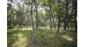 10 AC Deerborn Drive Quincy, WI 53934 by Landman Realty Llc $119,900