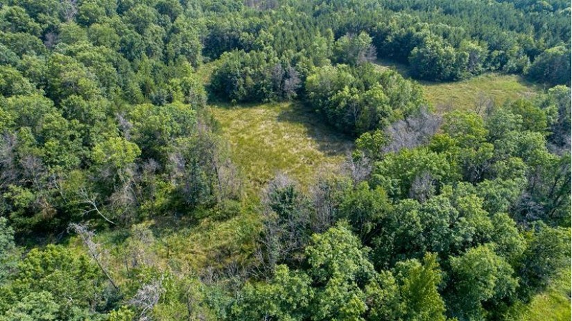 10 AC Deerborn Drive Quincy, WI 53934 by Landman Realty Llc $119,900