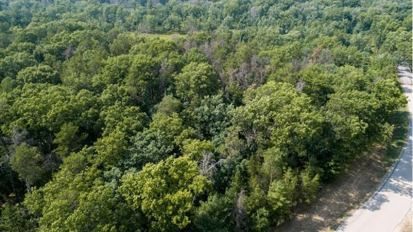 10 AC Deerborn Drive Quincy, WI 53934 by Landman Realty Llc $119,900