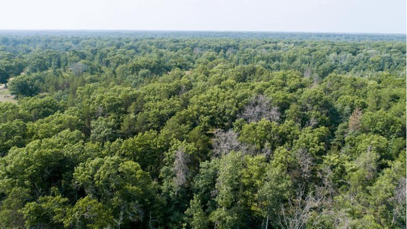 10 AC Deerborn Drive Quincy, WI 53934 by Landman Realty Llc $119,900