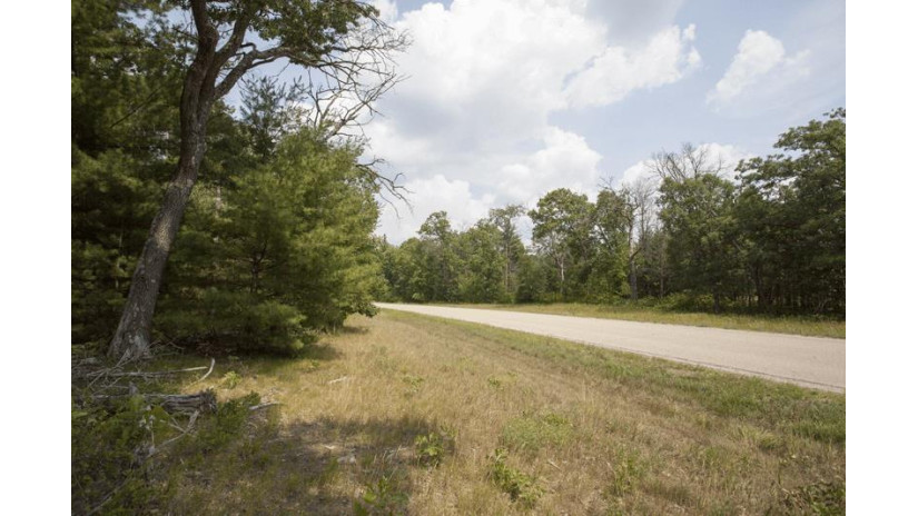 10 AC Deerborn Drive Quincy, WI 53934 by Landman Realty Llc $119,900