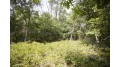 10 AC Deerborn Drive Quincy, WI 53934 by Landman Realty Llc $119,900