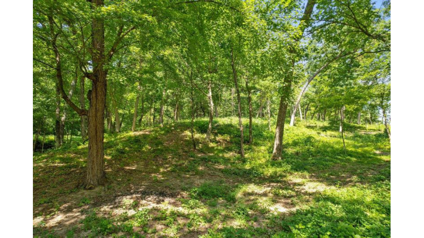 LOT 1 County Road U Caledonia, WI 53901 by Restaino & Associates Era Powered - Pref: 608-577-2245 $449,000