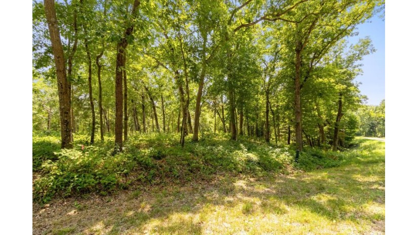 LOT 3 County Road U Caledonia, WI 53901 by Restaino & Associates Era Powered - Pref: 608-577-2245 $499,000