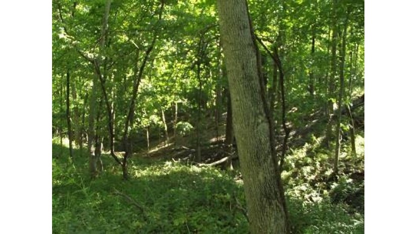 L57 Deep Woods Lane Bloomington, WI 53801 by Re/Max Preferred - ed@edkraisinger.com $25,000