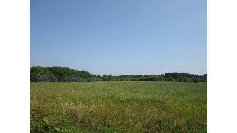 9.27 AC Domes Road Doylestown, WI 53960 by Century 21 Affiliated $129,780