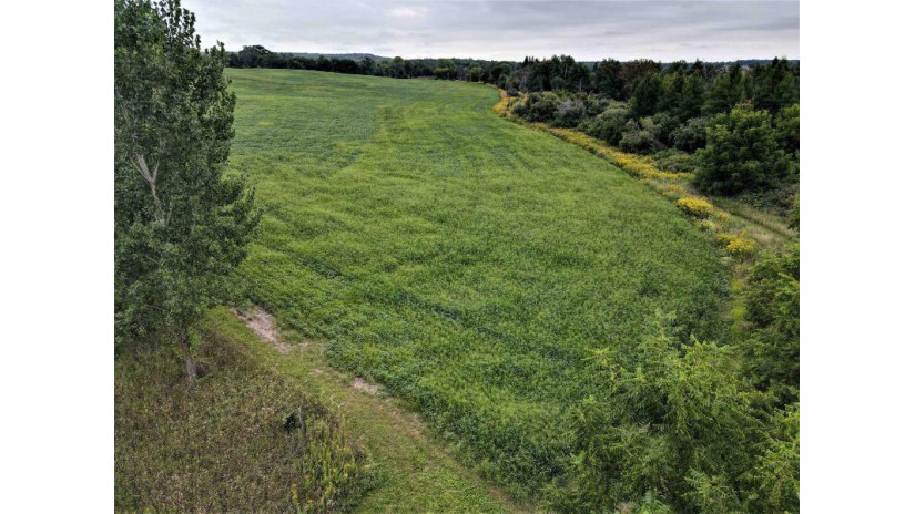 41.9 ACRES Bornick Road Fort Winnebago, WI 53901 by First Weber Inc - HomeInfo@firstweber.com $356,150