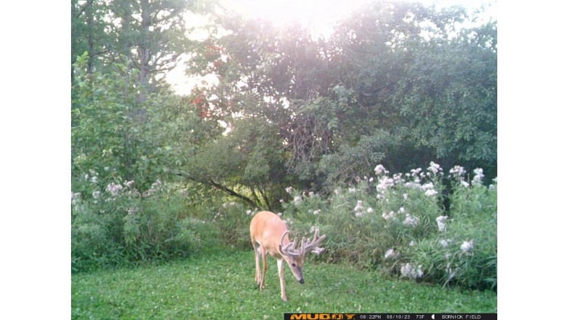 41.9 ACRES Bornick Road Fort Winnebago, WI 53901 by First Weber Inc - HomeInfo@firstweber.com $356,150