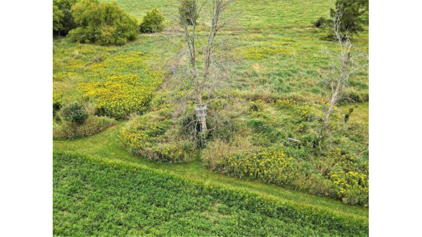 41.9 ACRES Bornick Road Fort Winnebago, WI 53901 by First Weber Inc - HomeInfo@firstweber.com $356,150