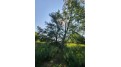 41.9 ACRES Bornick Road Fort Winnebago, WI 53901 by First Weber Inc - HomeInfo@firstweber.com $356,150