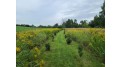 41.9 ACRES Bornick Road Fort Winnebago, WI 53901 by First Weber Inc - HomeInfo@firstweber.com $356,150