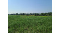 41.9 ACRES Bornick Road Fort Winnebago, WI 53901 by First Weber Inc - HomeInfo@firstweber.com $356,150