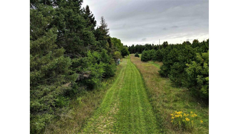 41.9 ACRES Bornick Road Fort Winnebago, WI 53901 by First Weber Inc - HomeInfo@firstweber.com $356,150