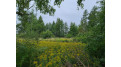 41.9 ACRES Bornick Road Fort Winnebago, WI 53901 by First Weber Inc - HomeInfo@firstweber.com $356,150