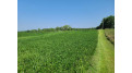 41.9 ACRES Bornick Road Fort Winnebago, WI 53901 by First Weber Inc - HomeInfo@firstweber.com $356,150