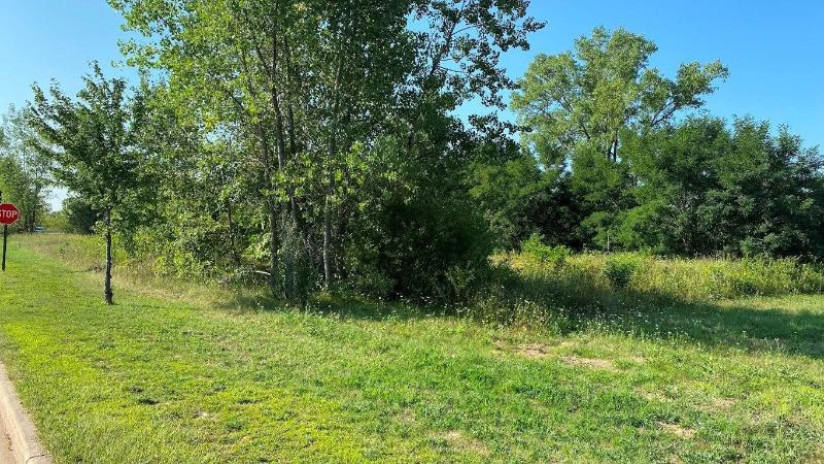 LOT 2 Chula Vista Parkway Wisconsin Dells, WI 53965 by First Weber Inc - HomeInfo@firstweber.com $450,000