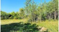 LOT 2 Chula Vista Parkway Wisconsin Dells, WI 53965 by First Weber Inc - HomeInfo@firstweber.com $450,000