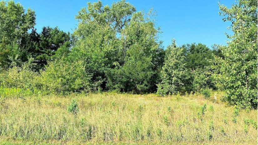 LOT 2 Chula Vista Parkway Wisconsin Dells, WI 53965 by First Weber Inc - HomeInfo@firstweber.com $450,000