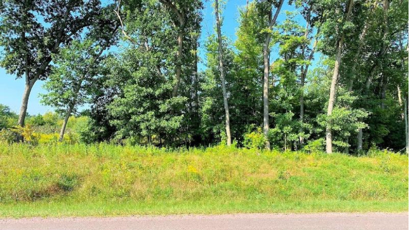 LOT 5 Hwy 13 Parkway Wisconsin Dells, WI 53965 by First Weber Inc - HomeInfo@firstweber.com $900,000