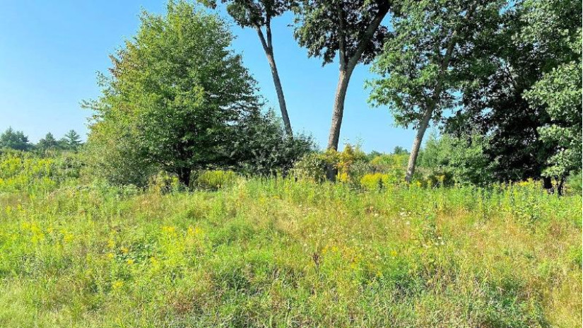 LOT 5 Hwy 13 Parkway Wisconsin Dells, WI 53965 by First Weber Inc - HomeInfo@firstweber.com $900,000