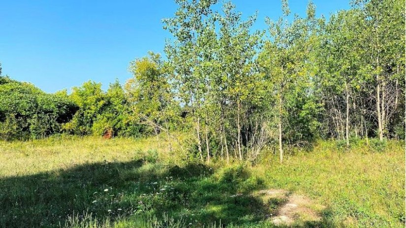 LOT 2 Chula Vista Parkway Wisconsin Dells, WI 53965 by First Weber Inc - HomeInfo@firstweber.com $450,000