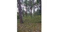 LOT 21 N Duck Creek Court Adams, WI 53910 by Exp Realty, Llc - Pref: 262-424-5915 $34,900