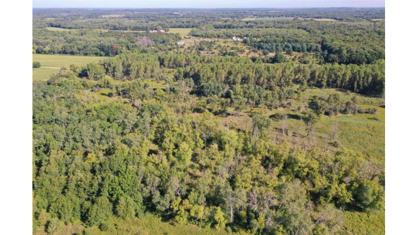 81.00AC Simonson Road Lewiston, WI 53901 by Whitetail Properties Real Estate Llc $577,199