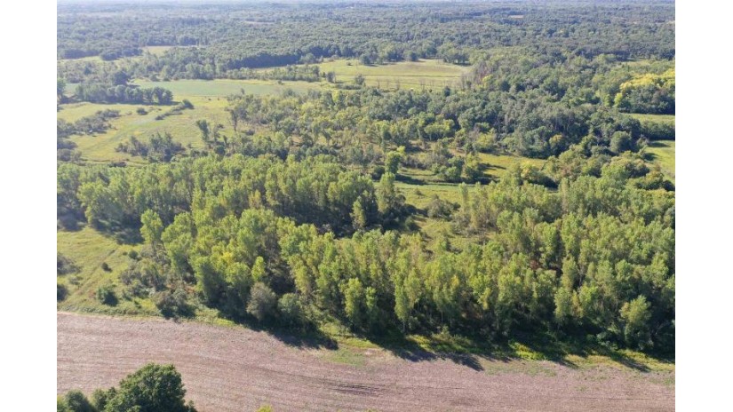 81.00AC Simonson Road Lewiston, WI 53901 by Whitetail Properties Real Estate Llc $577,199