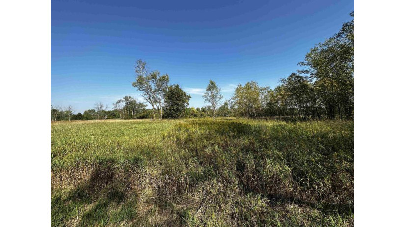 81.00AC Simonson Road Lewiston, WI 53901 by Whitetail Properties Real Estate Llc $577,199