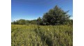 81.00AC Simonson Road Lewiston, WI 53901 by Whitetail Properties Real Estate Llc $577,199