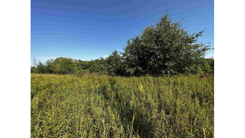 81.00AC Simonson Road Lewiston, WI 53901 by Whitetail Properties Real Estate Llc $577,199