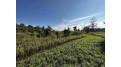 81.00AC Simonson Road Lewiston, WI 53901 by Whitetail Properties Real Estate Llc $577,199