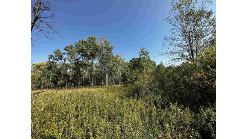 81.00AC Simonson Road Lewiston, WI 53901 by Whitetail Properties Real Estate Llc $577,199