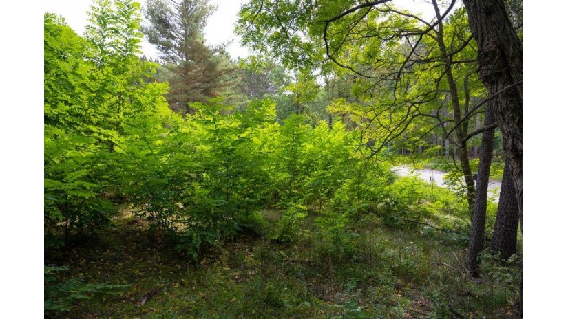 LOT 9 Yellow Thunder Trail Delton, WI 53913 by Castle Rock Realty Llc - Pref: 608-350-9478 $40,000