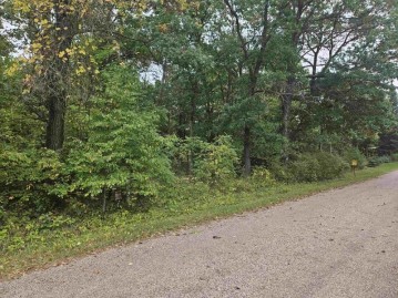 LOT 7 Carson Heights Road, Marion, WI 53948