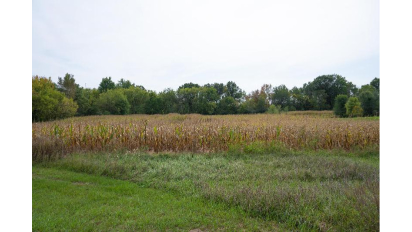 4.10AC Birdie Drive Lisbon, WI 53948 by Castle Rock Realty Llc - Pref: 608-547-5461 $36,500