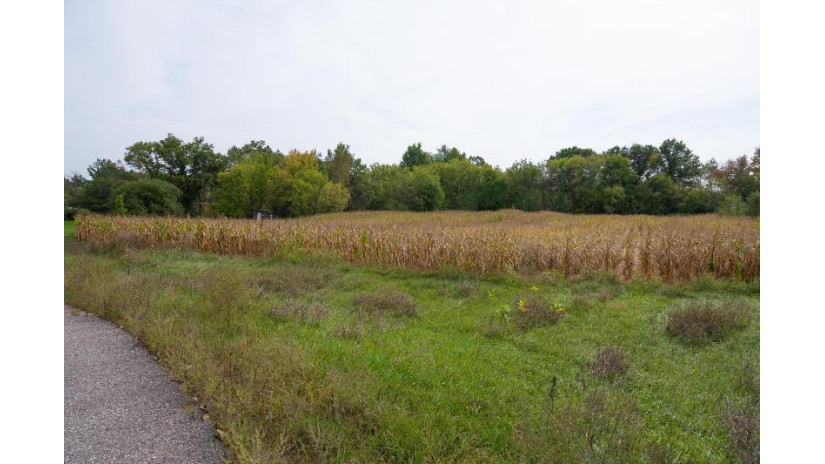 4.10AC Birdie Drive Lisbon, WI 53948 by Castle Rock Realty Llc - Pref: 608-547-5461 $36,500