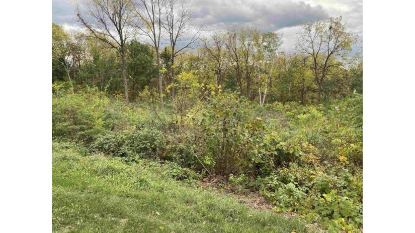 LOT 32 Rausch Road West Point, WI 53555 by First Weber Inc - HomeInfo@firstweber.com $89,000