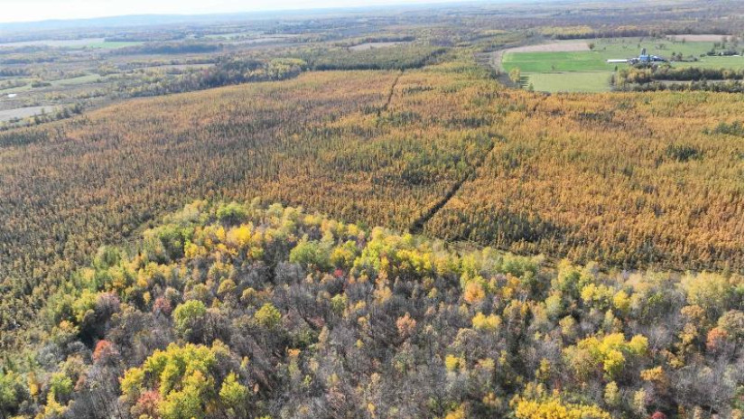 40ACRES MOL Dicus Road Grant, WI 54848 by Cotter Realty Llc $80,000