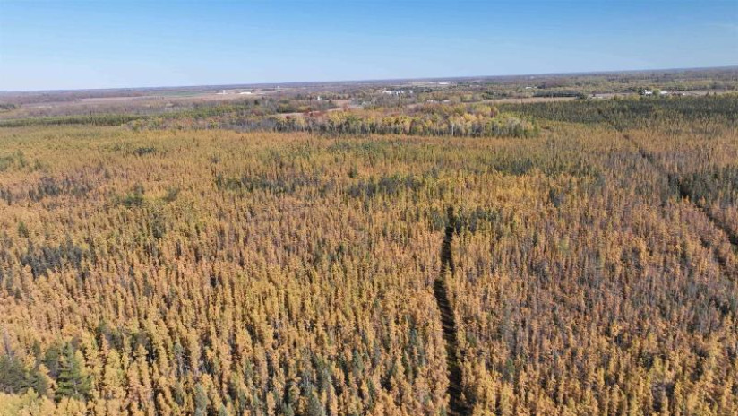 40ACRES MOL Dicus Road Grant, WI 54848 by Cotter Realty Llc $80,000