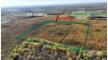 40ACRES MOL Dicus Road Grant, WI 54848 by Cotter Realty Llc $80,000